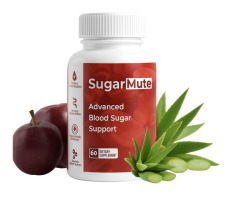 Daily Nutrition Habits for Supplements and Nutrients for Blood